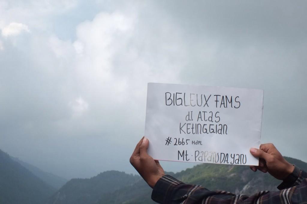 BIGLEUX DΔNCER tweet media