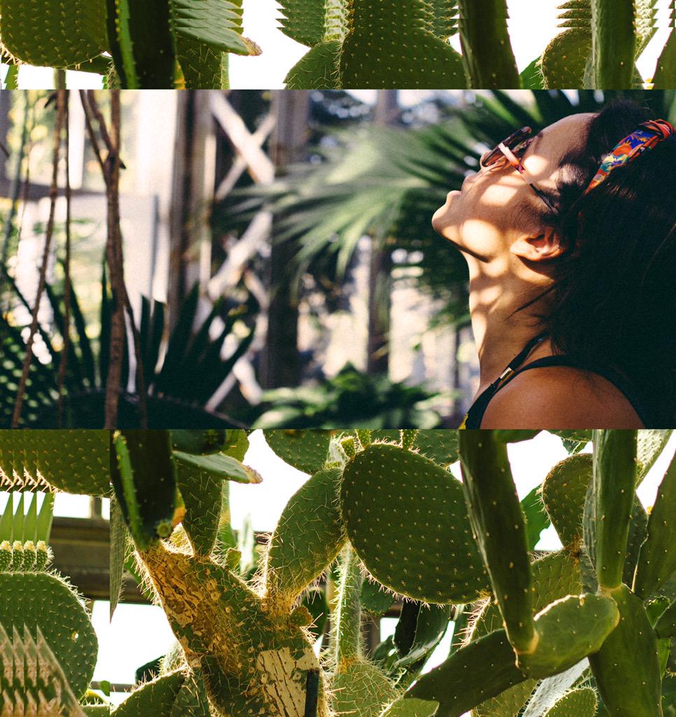 _AlexGodin's tweet image. lazy Saturday