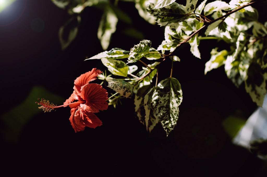 _AlexGodin's tweet image. lazy Saturday