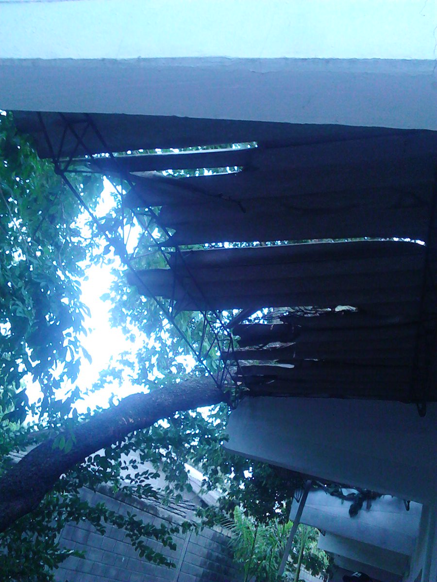 BomberosMalambo's tweet photo. Arbol caido en el clegio de Pital de MEgua atendido por el Cuerpo de Bomberos Voluntarios de Malambo. http://t.co/AO3XhjVh9K