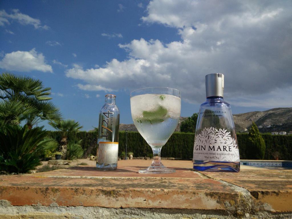 SlowGourmet's tweet photo. Disfrutando de una tarde mediterránea con @ginMare y @1724tonic #MedCocktails #GinMare #MedInspirations #GinExp http://t.co/vGeGUDPjpA