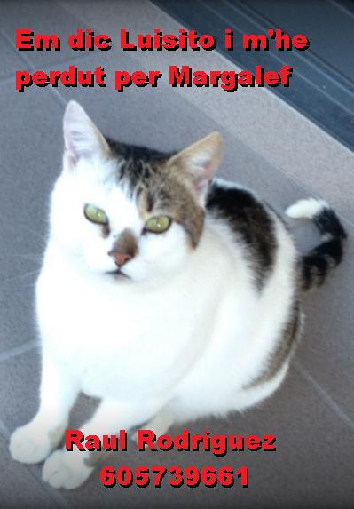 AjMargalef's tweet photo. http://t.co/6Gas30mdSy