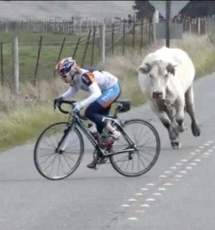 Happy Monday!  Hope your week is better than this guy's! 😁