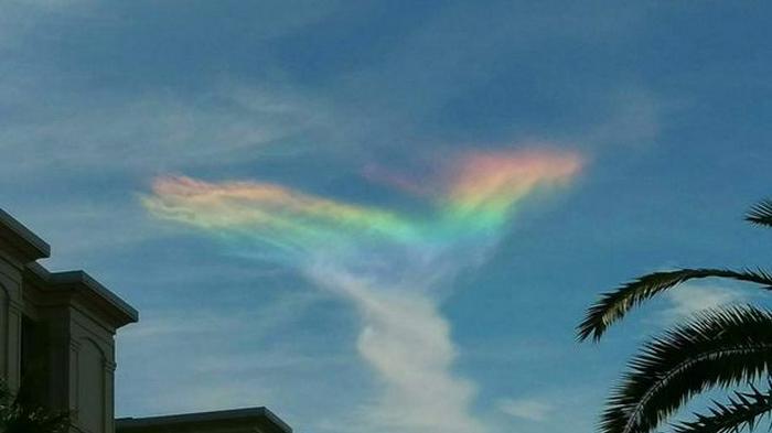 usembassyjkt's tweet photo. Wah! Fenomena langka “fire rainbow” ini muncul di langit #SouthCarolina! http://t.co/A4XHPVX0gu http://t.co/FVu8awSYtx
