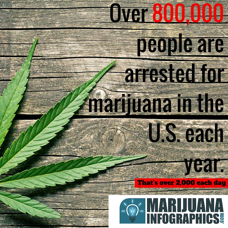 When will this stop? #cannabis doesn't make #criminals! #legalizeit #mmot #marijuana marijuanainfographics.com