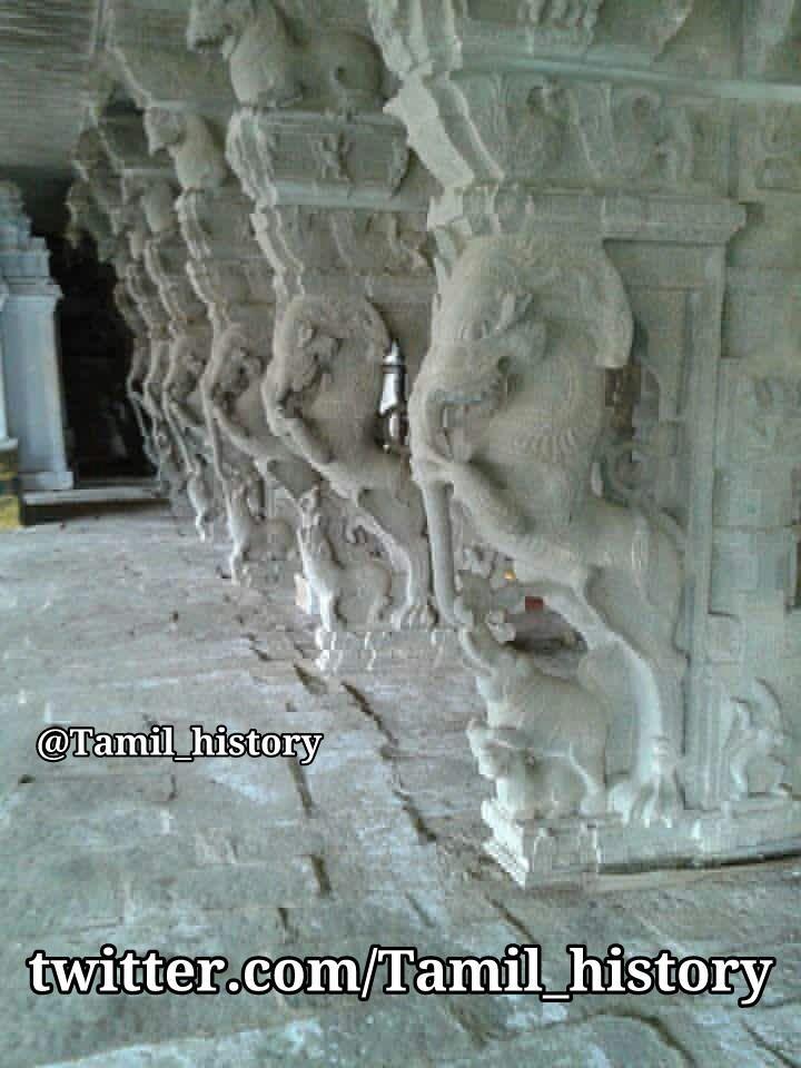 Tamil_history's tweet photo. #தமிழர் சாதித்த #கட்டிடக்கலை அற்புதம்! #பிரம்மாண்டமான #தூணின் எவ்வளவு அழகு! http://t.co/BxO5Ma16M4