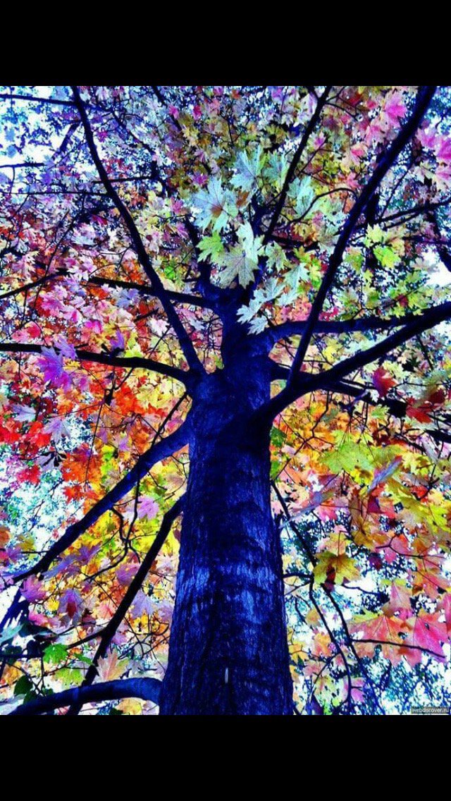 ParameterRecord's tweet image. Music gives soul to the universe wings to the mind flight to the imagination &amp;amp; life to everything #mondaymotivation