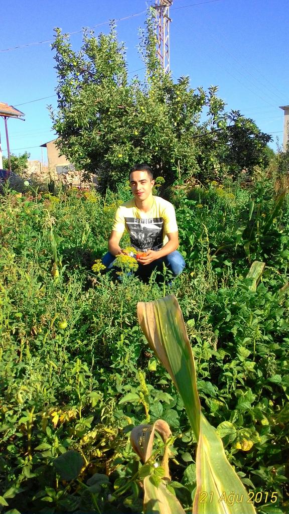Emre Kurtoglu  (@4c3c93cfe38b483) on Twitter photo 