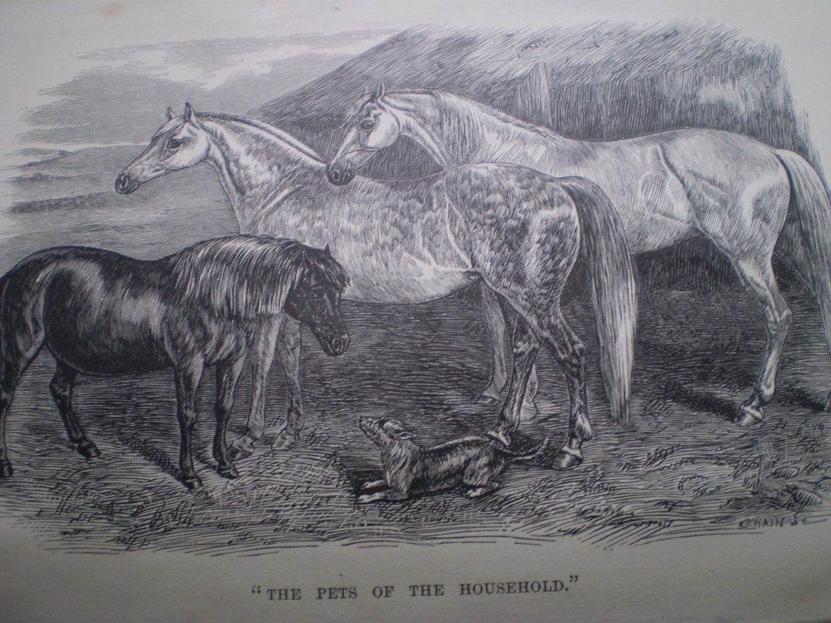 #bookoftheweek 'The Daily Life of Our Farm', Rev W Holt Beever, #farm life by the #RiverWye in the 1800's.
