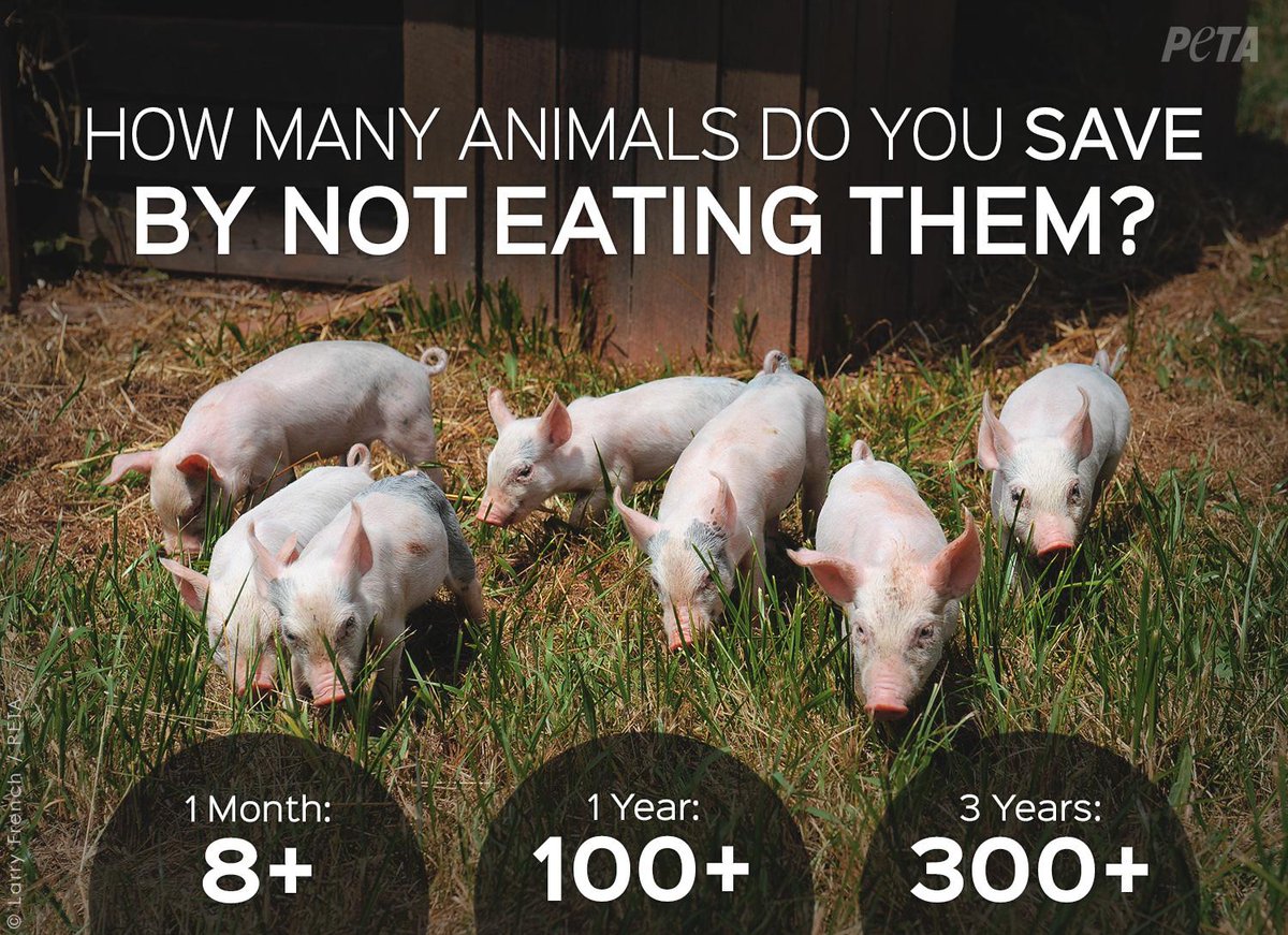 PETA auf Twitter: "Imagine how many animals you would save if you