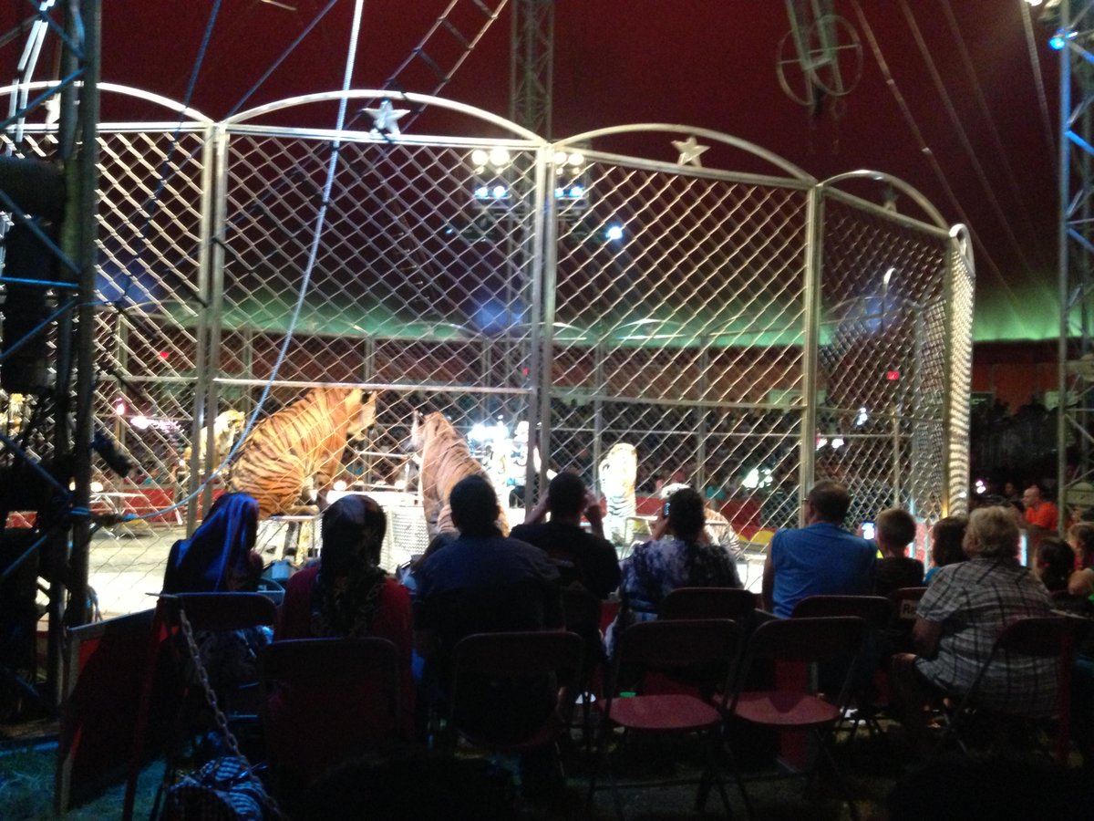 MXocial's tweet image. @raiyan2xocial THANKS for great UI , great page #growthegood #fun1