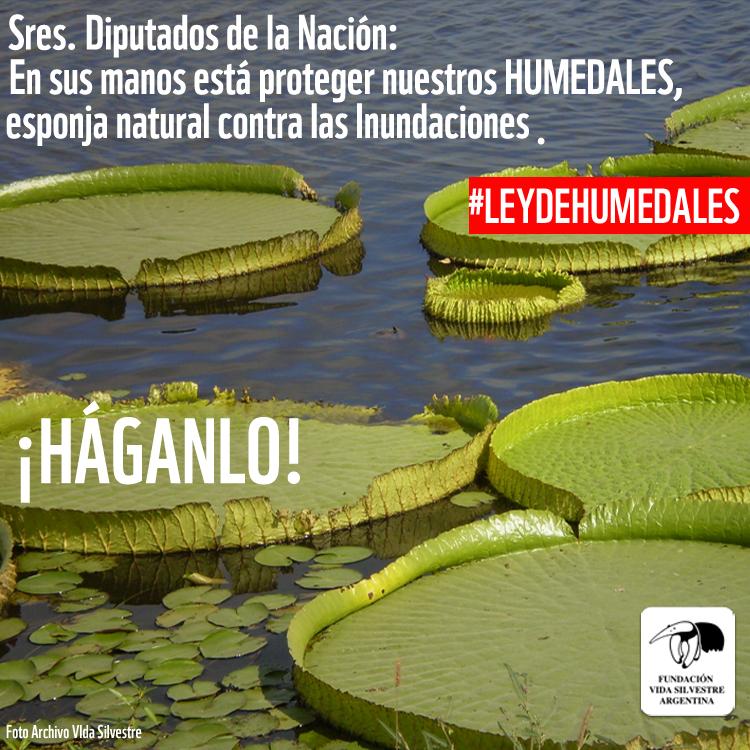 Fundación Vida Silvestre 🇦🇷 tweet media