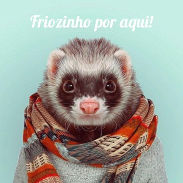 imagram's tweet photo. ❄️❄️❄️
#imagram #esfrio #voltaverao #fotografia #momentosunicos #decoração #doseujeito #suafoto #feitocomamor http://t.co/2rZcR4p9e8
