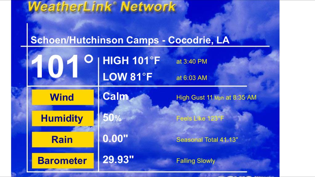 patwvr's tweet image. 