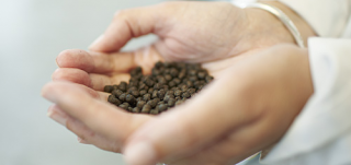 Floryalba's tweet photo. Nueva publicación sobre los alimentos y prácticas de alimentación en acuicultura.  http://t.co/4IU9QO7JVO http://t.co/ZMLiW1Qh44