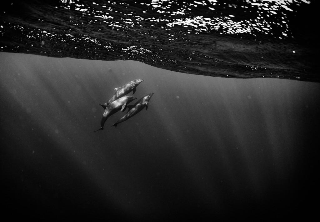 CNMIzGrXAAABjCc.jpg:large