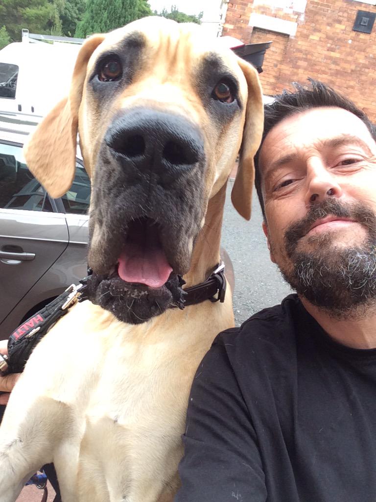 RFMacDonald's tweet photo. Do you want to see a big dog?
This one, Hugo, belongs to @mjrichardson1 
#DogsOfHeaton http://t.co/5lALh08gVm