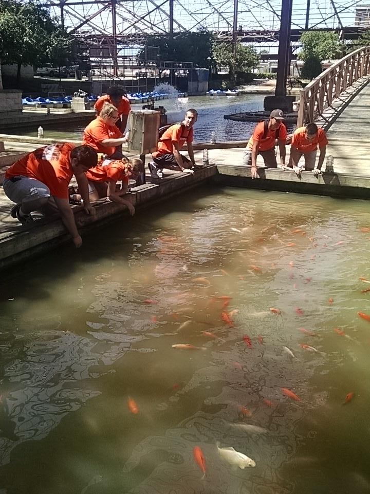 GUpapyrus's tweet image. #nso #catchafish #gctakesSTL2015