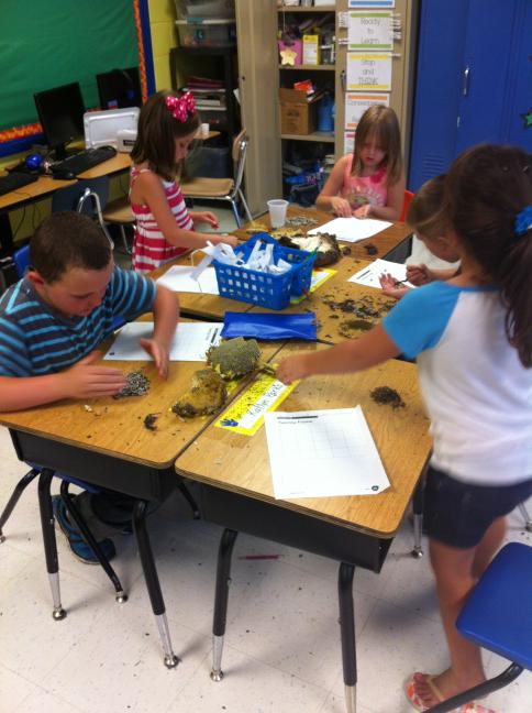 HCEasternElem's tweet image. How many seeds are in a sunflower??? #countingfun