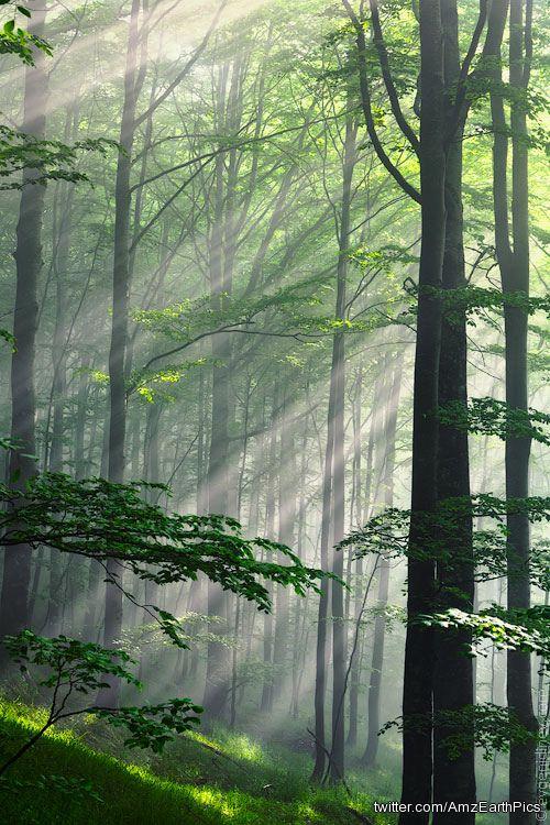 AmzEarthPics's tweet photo. Fleeting beams (by Evgeni Dinev) #fleeting #beams #evgeni #dinev #earth http://t.co/ZglcVb6qZJ
