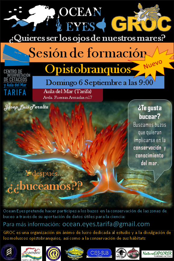 OceanEyesTarifa's tweet photo. ¡Nuevas sesiones de formación sobre OPISTOBRANQUIOS a través del nuevo convenio OE-GROC!¡Anímate! #conservacionmarina http://t.co/ORSchuZysZ