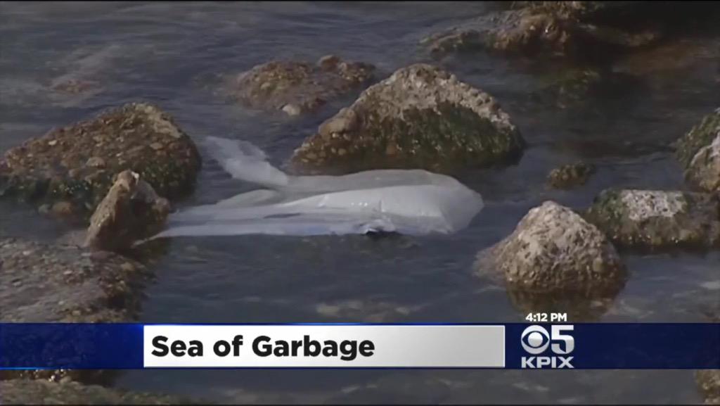 PlasticPollutes's tweet photo. PPC member Boyan Slat involved in Mapping #PacificGarbage Patch In San Francisco:
http://t.co/sSHnIPhzla http://t.co/hjuZWlJX5y