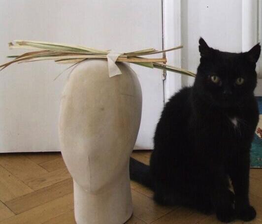 MYSADCAT's tweet photo. My cat is sad because he is imagining a world where Donald Trump is the President of America. http://t.co/DjGDem5z4U