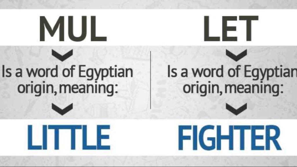 MulletTownTV's tweet photo. The #Egyptian #NameOrigin of the word #mullet... #nowyouknow 😎 http://t.co/rxiueANz2T