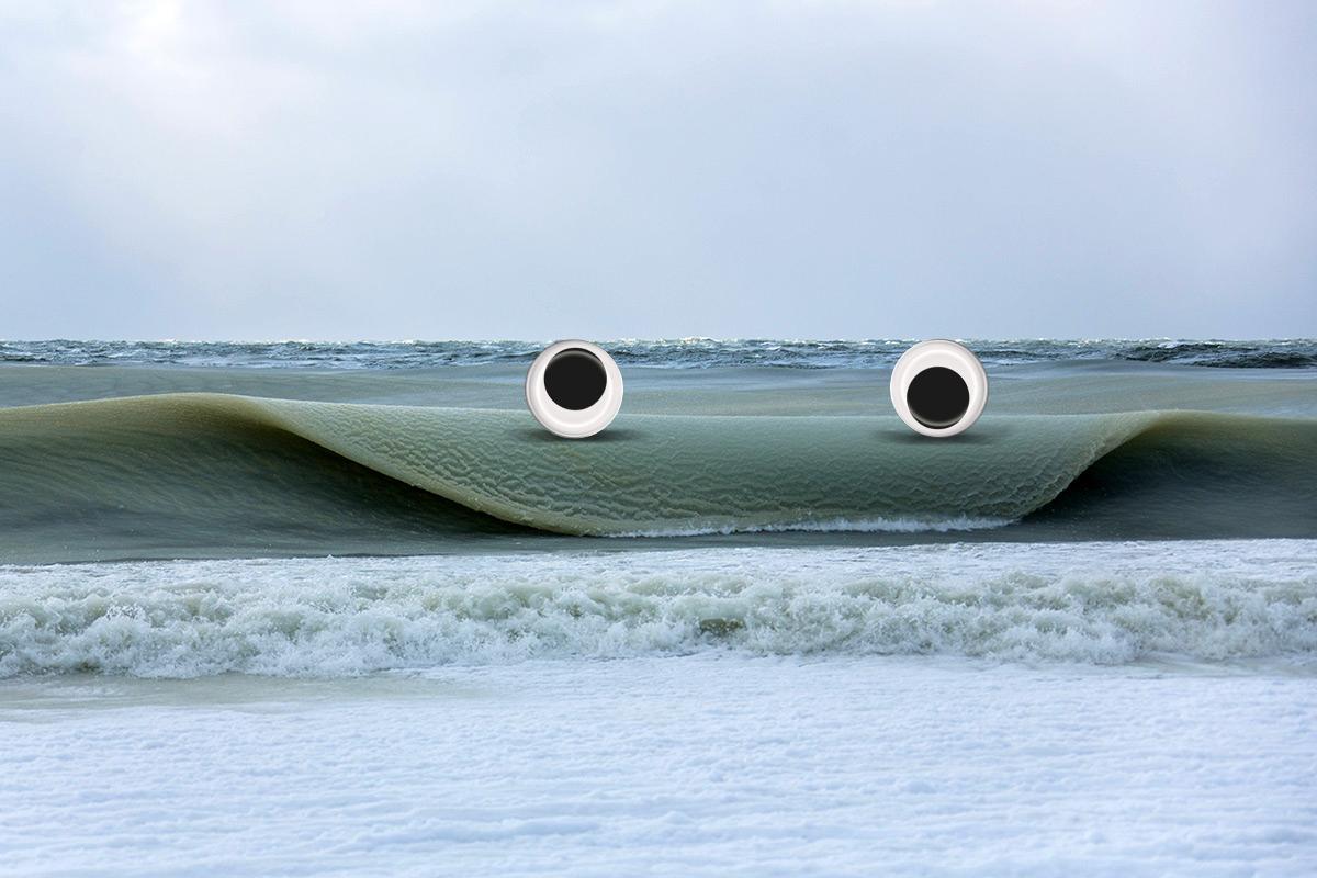 imgur's tweet photo. Pancakes or googly eyes? http://t.co/eEtzxDqJKP http://t.co/qVSENRbILD