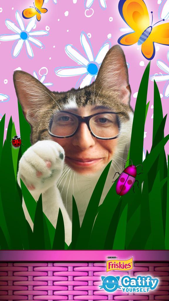 NSCCreed's tweet photo. #CatCutie #SeeItToBelieveIt #PowerInNumbers @ReedResLife http://t.co/ShrKO2FWVl