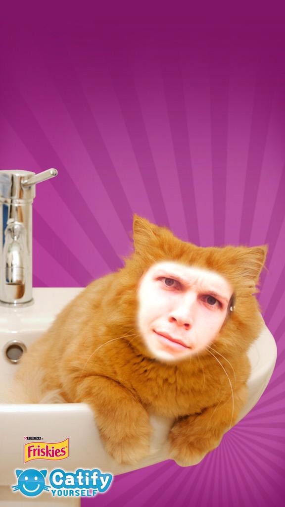 NSCCreed's tweet photo. Too much? Not enough? CAT! #SeeItToBelieveIt @ReedResLife http://t.co/oxVVri41Nd