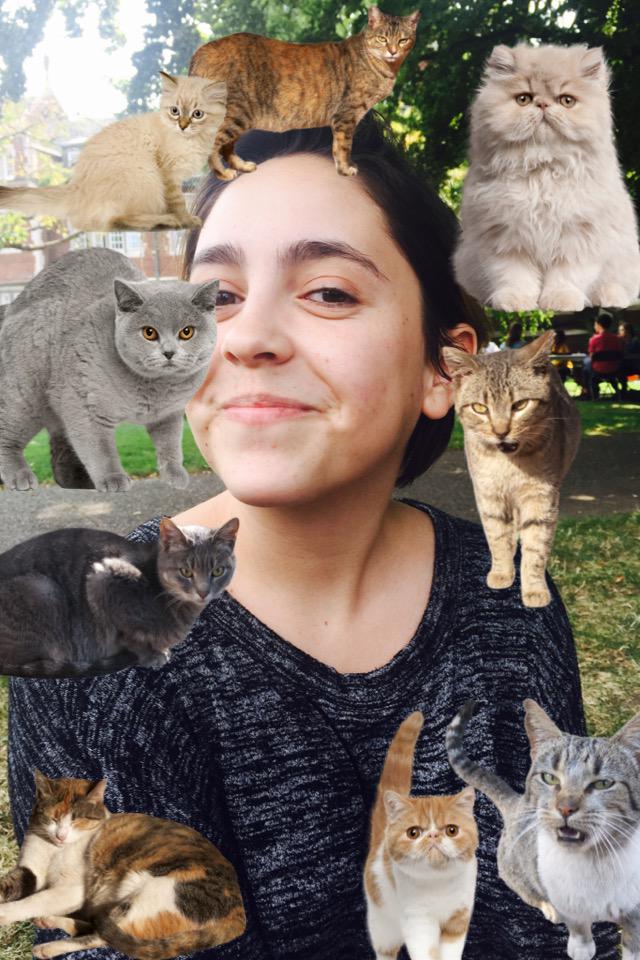 NSCCreed's tweet photo. #OutWithABang #FeelingAnnoying #ProudToOverwhelm #YoursTruly @ReedResLife #CamilaTheCatQueen http://t.co/rIHvMopCwT