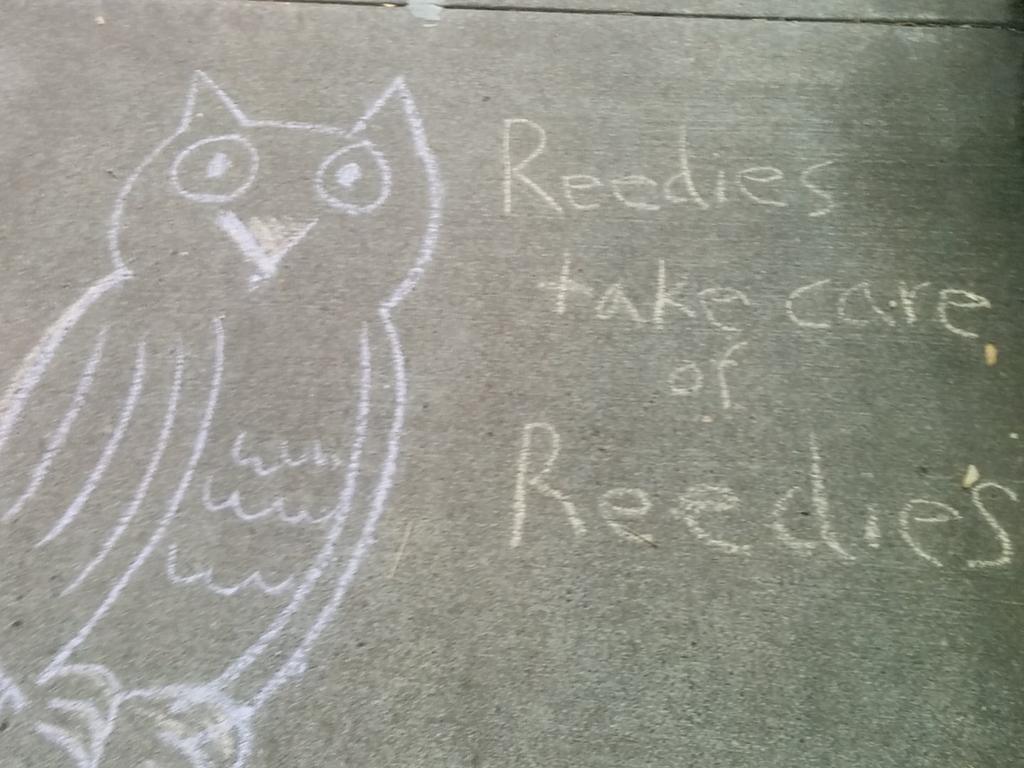 NSCCreed's tweet photo. Never forget! @ReedResLife http://t.co/2Hyrl25GRw