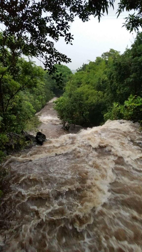 The waters of Kāne are flowing above Kahanu Garden in Hāna. Stay safe everyone <a href="/hnlnow/">HNLnow.com :: Hawaii</a>