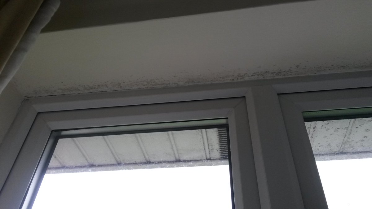 HandsDoHelp's tweet image. Pre-Lettings Clean -Baldock -Hertfordshire - By Hands Do Help Cleaning- 01462 672026 - 0800 917 3339 - Mould Cleaning
