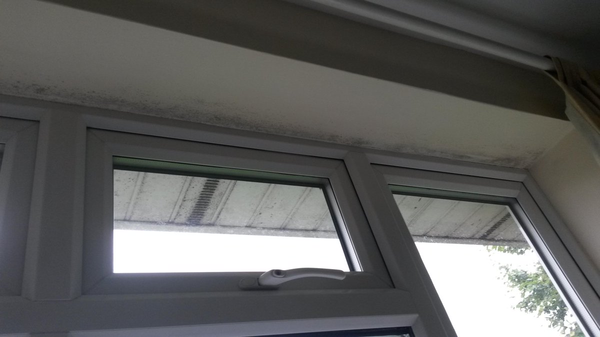 HandsDoHelp's tweet image. Pre-Lettings Clean -Baldock -Hertfordshire - By Hands Do Help Cleaning- 01462 672026 - 0800 917 3339 - Mould Cleaning