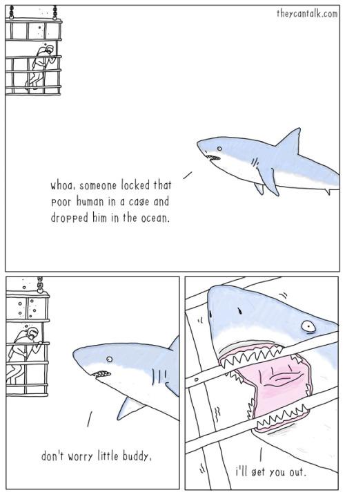 TweetLlkeAGuy's tweet photo. shark rescue http://t.co/P1DIniHF4b