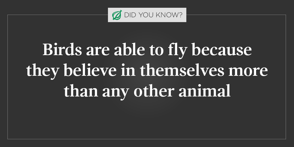 The Onion tweet media