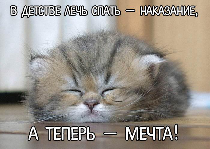 Доброе утро!