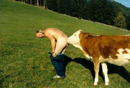 bernard59100's tweet photo. pour moi,l'amour est dans l'pré c'est ça. ;) beber. http://t.co/81SpoAW16s
