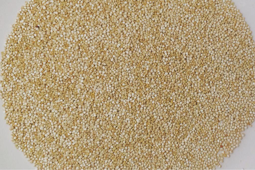 TheGenYKitchen's tweet photo. Quinoa took the #glutenfree world by storm, now it's taking over breakfast. Recipe on the blog http://t.co/vPyQ15zQGG http://t.co/v8iadyt0tE