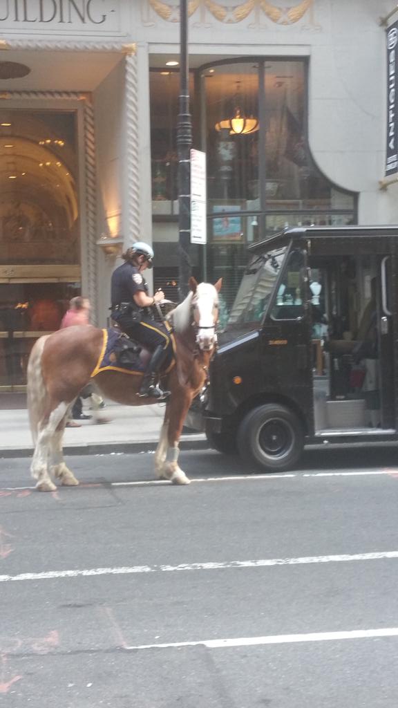 desusnice's tweet image. NYPD Horse asked me for ID after taking this photo smh