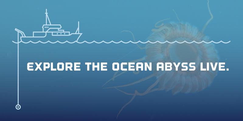 Ocean_Networks's tweet image. ONC's #expedition website is now live! Read updates, watch live video and more: oceannetworks.ca/expeditions/20… #ONCAbyss
