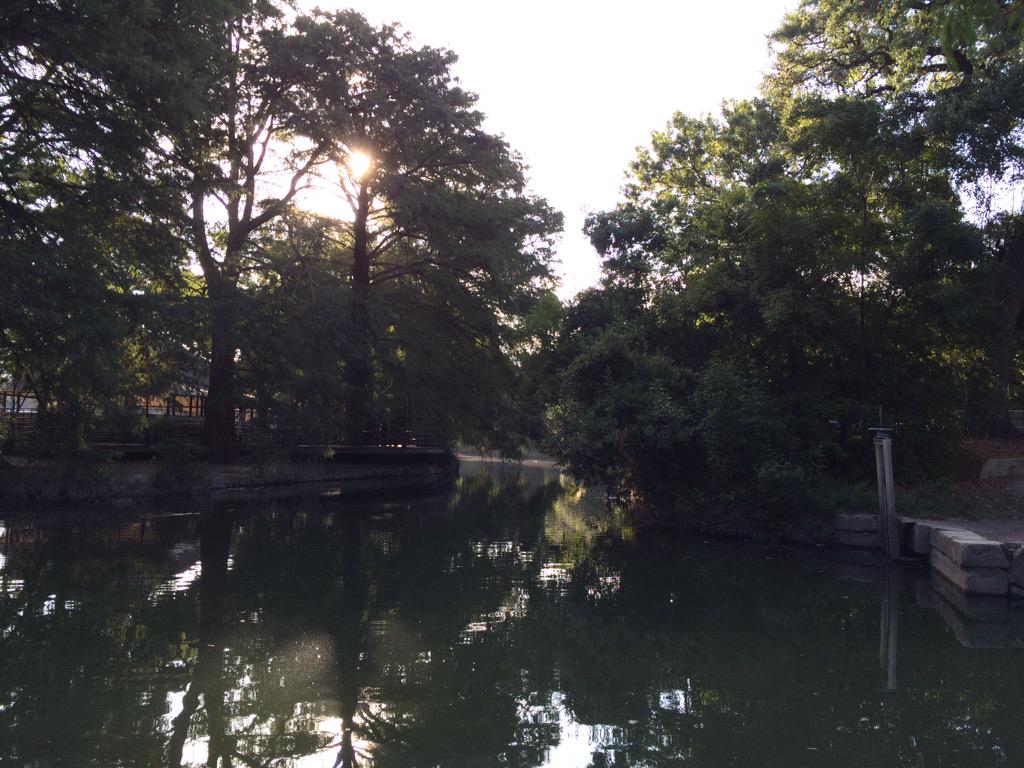 discoverschools's tweet photo. Morning walk at Brackenridge Park #BrackenridgePark @BrackParkConsrv #saparks #saparksandrec @SAParksandRec http://t.co/jJ6Brxyk2e