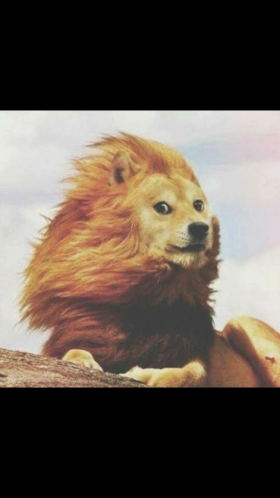 Crayist's tweet image. Rt or bad luck for 6 years dont risk it