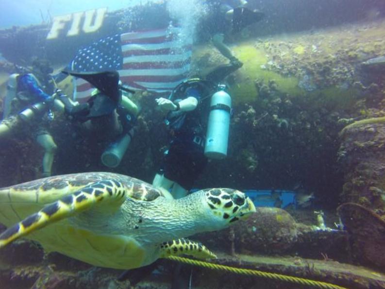 ReefBase's tweet photo. USN Mission Day 1 began with splashdown at 10:08 am EDT. Watch all the action at https://t.co/QS4WykX59v @FIU http://t.co/BihOyE8l6Y