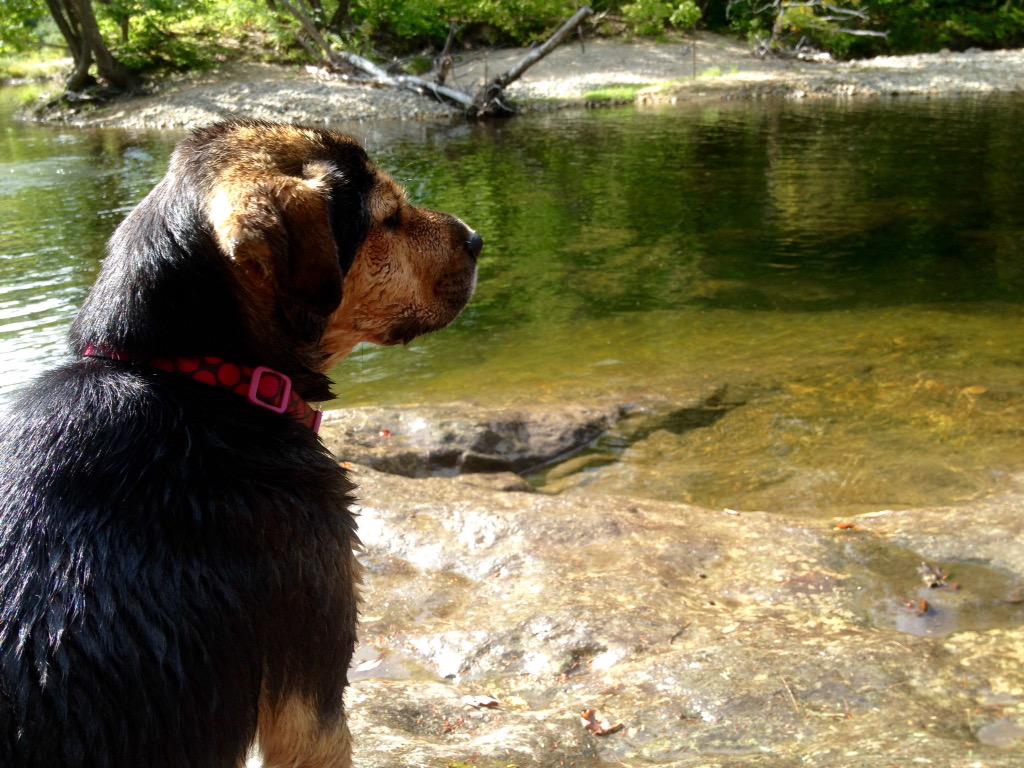 redzillart's tweet photo. Ella #sundayriver http://t.co/fIF4gb2Qzt