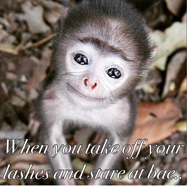 PinMeUp_Chicago's tweet photo. Never wake up with your lashes ! Come try our #eyelashextensions http://t.co/DI0nzS3yul