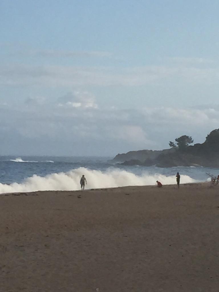 LaughingGullSB's tweet photo. End of day on Singing Beach. #VisitMA #nosummerregrets http://t.co/WL2gT95OXd
