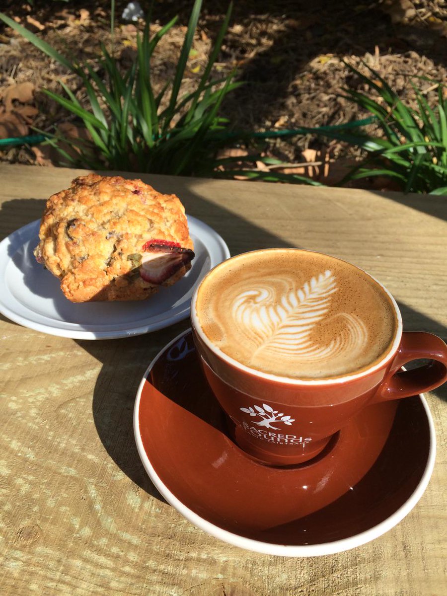 WilloughbyCity's tweet image. #BlendCafé is serving up freshly baked muffins - enjoy with a delicious @Sacred_Grounds_ coffee!